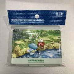 イーブイ　AR　海外版 インドネシア語版　プロモ　海外限定　未開封　5枚 イーブイ AR インドネシア語版 プロモ 海外限定イラスト 未開封