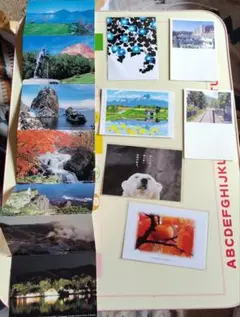 Item thumbnail for item f11d3405-b2f5-48b6-9191-9d40bef305cd