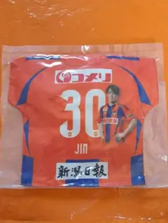 アルビレックス新潟 ガラポン マッチデークッション 30 奥村仁