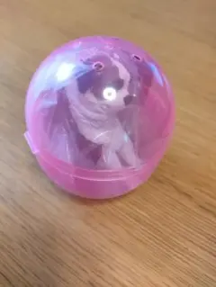 いっしょにねんね　わんこ　セントバーナード