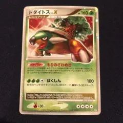 超希少極‼️ ナエトル　ハヤシガメ　ドダイトス　プロモ　幻カード　3枚　ホロ　渦巻 超希少極‼️ ナエトル ハヤシガメ ドダイトス プロモ 幻カード 3