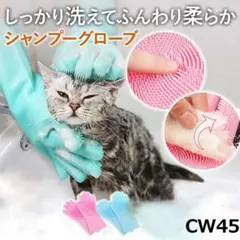 Item thumbnail for item 47e9d976-054a-4725-85c1-906c989ff00b