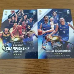 Bリーグチャンピオンシップオンラインくじ　D賞　カード型ステッカー　2種セット