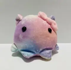 メンダコ　ぬいぐるみ　マスコット