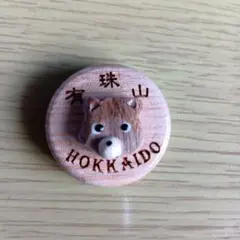 【即日発送】北海道有珠山マグネット