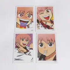 コーイチ チェキ R レア サイン 付き えぶりでいホスト えぶホス 箔押し