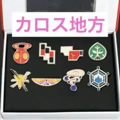 2025年最新】ジムバッジコレクションコンプリートセットの人気