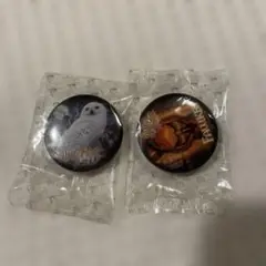ハリーポッターと秘密の部屋　缶バッジ　公式グッズ