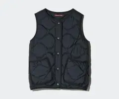 Item thumbnail for item d16b7bcf-f051-43d7-bf5d-2817c5ec038f