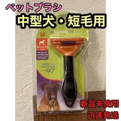 Item thumbnail for item 485c763c-c4df-4505-8e63-a1b957661cad