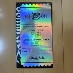 Straykids スキズ アプグレホログラムチケット 非売品