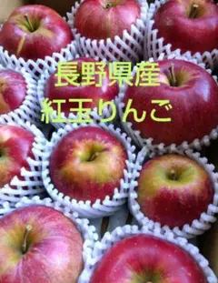 長野県産 紅玉りんご