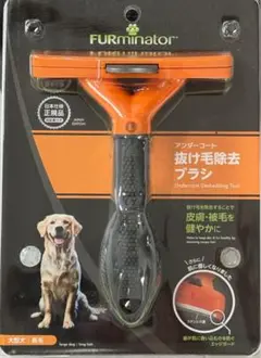 Item thumbnail for item 80823a93-8902-4155-ba25-5585587cb1d4