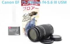 Item thumbnail for item 6f72ac05-128f-419b-8b61-671e8bd8ce12