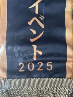 2025年最新】優勝レイ風タオルの人気アイテム - メルカリ