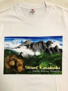 マレーシア ボルネオ島で購入　キナバル山 オラウータン　Mサイズ