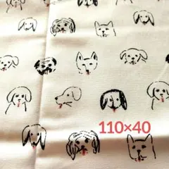 ワンコ　フェイス柄　110×40