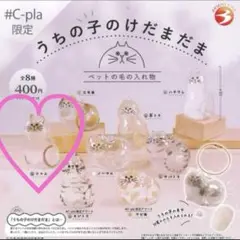 【正規品】うちの子のけだまだま　シャム　1点⭐︎