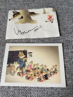 いもとようこさん直筆サイン入り 絵本セット 日本の物語 12冊+おまけ(1冊) いもとようこの日本むかしばなし Bセット ：いもとようこ - 金の星社