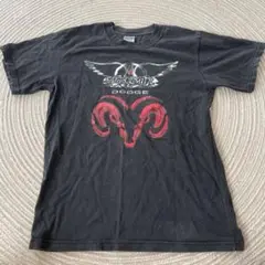 【ヴィンテージ】Aerosmith エアロスミス バンドTシャツ ロックT
