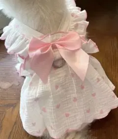 Item thumbnail for item 2a476113-0e2c-4a43-a072-65bf06a4ff9b