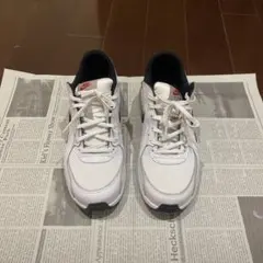 Nike Air Max DR2402-100
