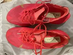 Item thumbnail for item 66a77804-afb1-461a-887e-b11cbb949b11