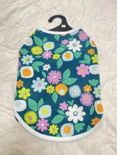 Item thumbnail for item eba51341-8332-4103-baee-68335f454839