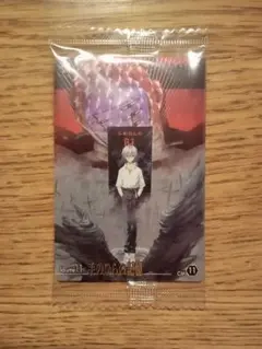 新世紀エヴァンゲリオン 渚カヲル vol11 手のひらの記憶 カード