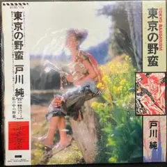 m96168354427_1.jpg?1670640084