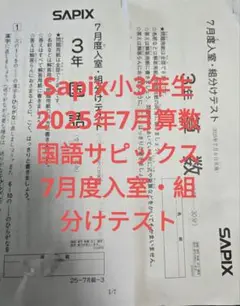 2025年最新】サピックス テスト 7月組み分けテスト 小の人気