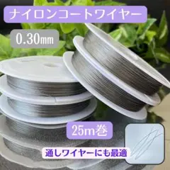 Item thumbnail for item b952e2be-eba0-464a-bd75-68ec7af293a4
