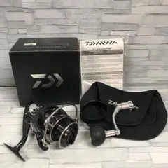ダイワ caralina4500 16キャタリナ