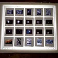 Item thumbnail for item 62e6b479-3e4c-4259-afed-790b9c296ad1
