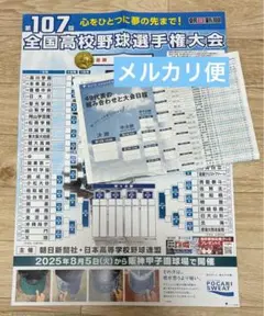 第107回 高校野球⭐️トーナメント表 全国高校野球選手権大会⭐️甲子園●朝日新聞