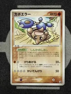 【10点2500円引き】カポエラー