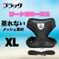 Item thumbnail for item e98fb68b-6544-4117-aaac-731b21988f84