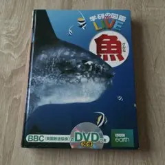 魚の図鑑