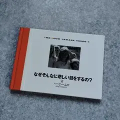 THE BOOM / フィッシュ・ダンス / CD＋写真集 ザ・ブーム