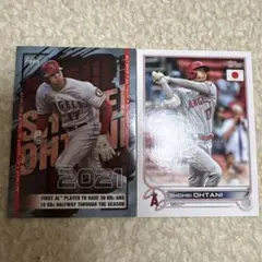 Item thumbnail for item 9290d677-d12e-4d05-94e2-3838a6f1977a