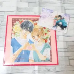 ちゃおサマーフェスティバル Sho-Comiくじ D-2賞 色紙タオル 入場特典