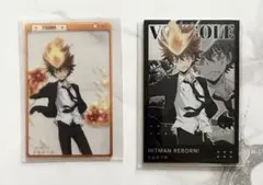 家庭教師ヒットマンREBORN! 戦損 沢田綱吉 ぱしゃこれ クリアカード