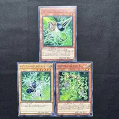 遊戯王　PSYフレーム セット