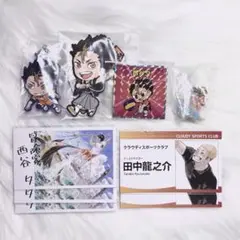 ハイキュー 西谷夕 田中龍之介