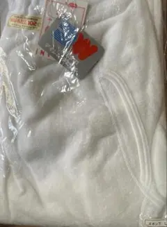 Item thumbnail for item 993d0855-7b45-4b3e-89ea-c3ff6b518cff