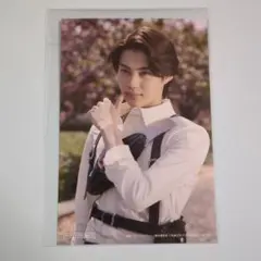 映画ガヴ＆ゴジュウジャー ベストシーンカードセット 万津莫 仮面ライダーゼッツ