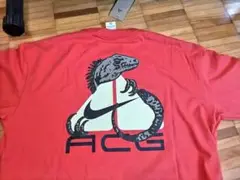 新品未使用　Nike ACG Tシャツ オレンジ　XL