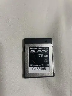 DelkinDevicesBLACK 75GB CFexpress Type B