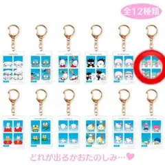 【在庫ラス1】シークレット証明写真風キーホルダー2 キキララ