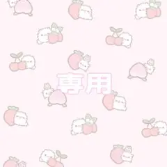 専用